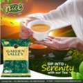 Explore Strong Aromatic & Premium Garden Valley Tea