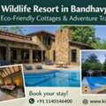 Top Wildlife Resort In Bandhavgarh &ndash; Eco-Friendly Cottages & Adventure Trails