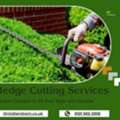 Midlands Grounds Maintenance &ndash; Professional Hedge Trimming Services