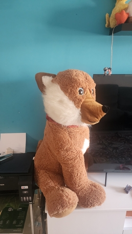 Jubail, Baby & Kid Stuff, SAR 35,  Big Size Dog