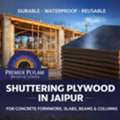 Affordable Premier Plylam Shuttering Plywood In Jaipur