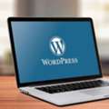 WordPress CMS Development & Customization