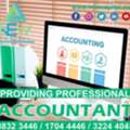 Providing Professional Accountant