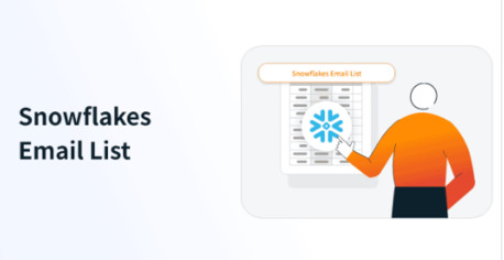 Berlin, Business, Access Premium Snowflakes Customers List Ready For Targeted Outreach