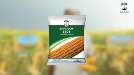 Mumbai, Farm/Garden, Shriram 5501 Hybrid Corn Seeds For Strong Yield