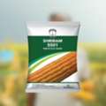 Shriram 5501 Hybrid Corn Seeds For Strong Yield
