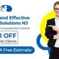 Safe And Effective Pest Solutions NJ &ndash; ALCO Animal & Pest Control