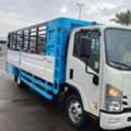 Dyna With Driver 2025 Model 6 Meter