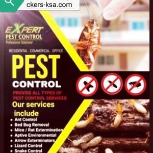 PEST CONTROL⭐FUMIGATION  CLEANING  & RELOCATION SERVICES IN ALL KSA (0504 377 677)