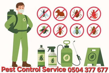 Riyadh, Pest Control, 🚨PEST CONTROL⭐CLEANING  & RELOCATION SERVICES IN ALL KSA (0504 377 677)