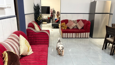 Salmabad, Furniture, BHD 95,  Sofa Seven Seater (Black Leather) 75 Bd & Sofa Nine Seater (Fabric) 20BD)