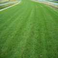 Choose Professional Turf Suppliers Adelaide For Quality Lawns