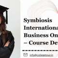 Symbiosis International Business Online MBA &ndash; Course Details