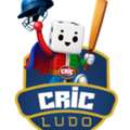 Play Cric Ludo Game