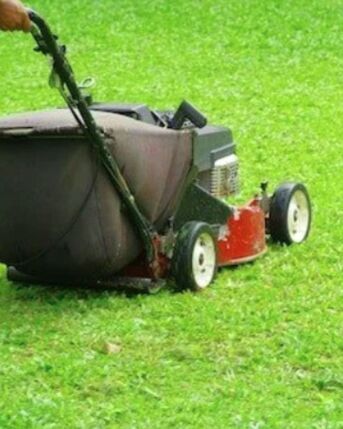 New York, Business, Martha