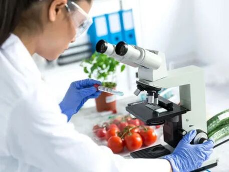 London, Business, Food Detective Test Stockport | MiVida Inner Health Clinic