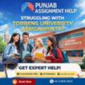 Torrens University Assignment Help Australia | Get Expert Help
