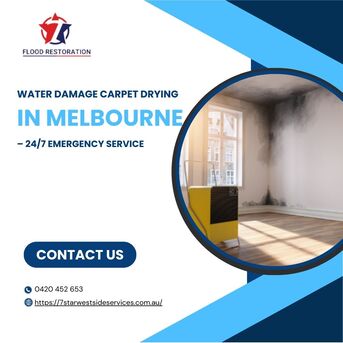 Melbourne, Business, Water Damage Carpet Drying In Melbourne &ndash; 24/7 Emergency Service