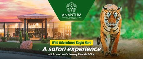 Mumbai, General, Where To Stay For The Best Safari Experience In Jim Corbett?