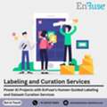 Power AI Projects With EnFuse&rsquo;s Human-Guided Labeling And Dataset Curation Services