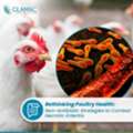 Coccidiosis In Poultry: Non-Antibiotic Strategies To Combat Gut Disorders