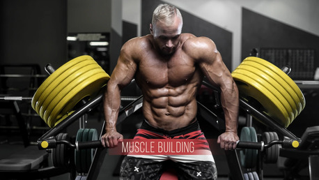 Mumbai, Health, Best Gym Workout Plan &ndash; Join Fit Club Today!