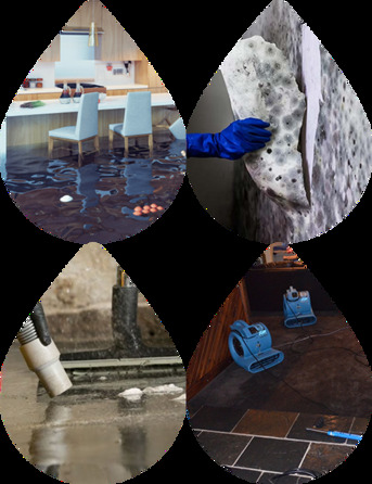 Melbourne, Business, Emergency Water Damage Specialist