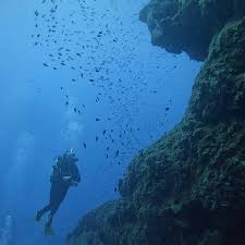 London, Travel, Pissouri Bay Divers Presents: Jubilee Shoals Adventure