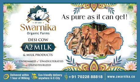 Bangalore, Food, INR 120,  Pure A2 Cow Milk In Electronic City, Bangalore