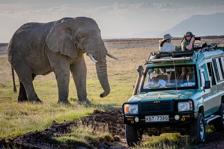 New York, Travel, Affordable Kenya Tanzania Safari Travel Packages