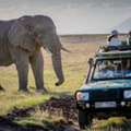 Affordable Kenya Tanzania Safari Travel Packages
