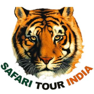 Jaipur, Travel, Rajasthan Wildlife Safari Tour Package | Rajasthan Safari Booking Online