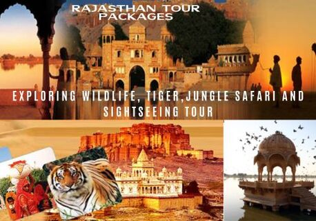 Jaipur, Travel, Rajasthan Wildlife Safari Tour Package | Rajasthan Safari Booking Online