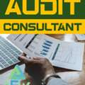 Audit Consultant Bahrain