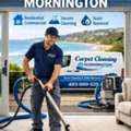 Eco-Friendly Carpet Cleaning Mornington