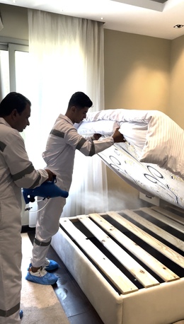 Cairo, Pest Control, مكافحة بق الفراش | ابادة البق في يوم