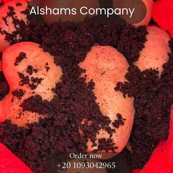 Tirana, Farm & Garden, EGYPTIAN POTATO