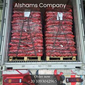 Tirana, Farm & Garden, EGYPTIAN POTATO