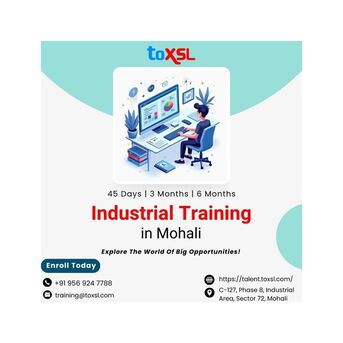 Mumbai, Education, Industrial Training In Mohali For Skill Development | ToXSL Technologies