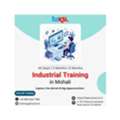 Industrial Training In Mohali For Skill Development | ToXSL Technologies