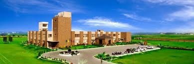 Punjab, Education, Best CBSE School In Rajpura| Angels Valley School