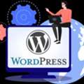 Hire Wordpress Developer To Customize Website