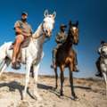 Tour Guide Training In Namibia &ndash; Start Your Safari Career With Aru Game Lodges