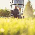 Sod Laying & Spring Lawn Cleanup Calgary Experts