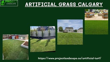 Calgary, Real Estate, You Deserve The Best Artificial Grass In Calgary That Requires Low Maintenance