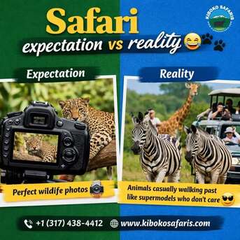 Doha, Travel, Tanzania Safari Tours Al Rayyan | Book African Wildlife Trips