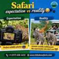 Tanzania Safari Tours Al Rayyan | Book African Wildlife Trips