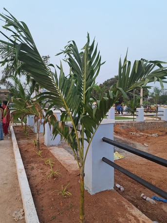 Hyderabad, Residential Plots, INR 21000,  150 Sq. Yard,  SWASTHIKA &ndash; Trusted & HMDA Approved Projects