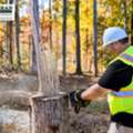 Round-The-Clock Protection With 24-Hour Emergency Tree Removal Support