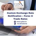 Custom Exchange Rate Notification &ndash; Forex & Trade Rates